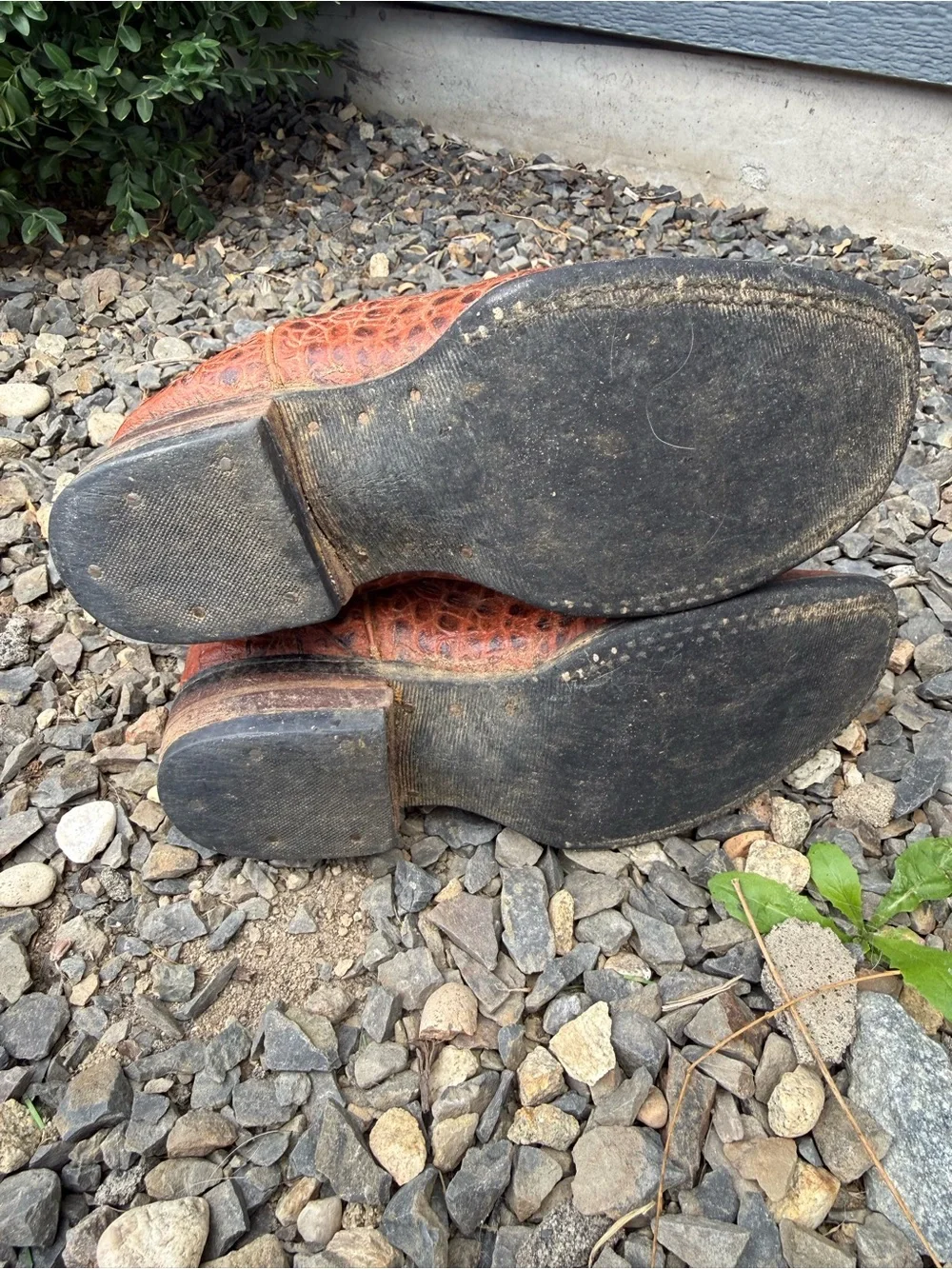 Kids Western Cowboy Boots Croc Embossed Leather Little Kid 11